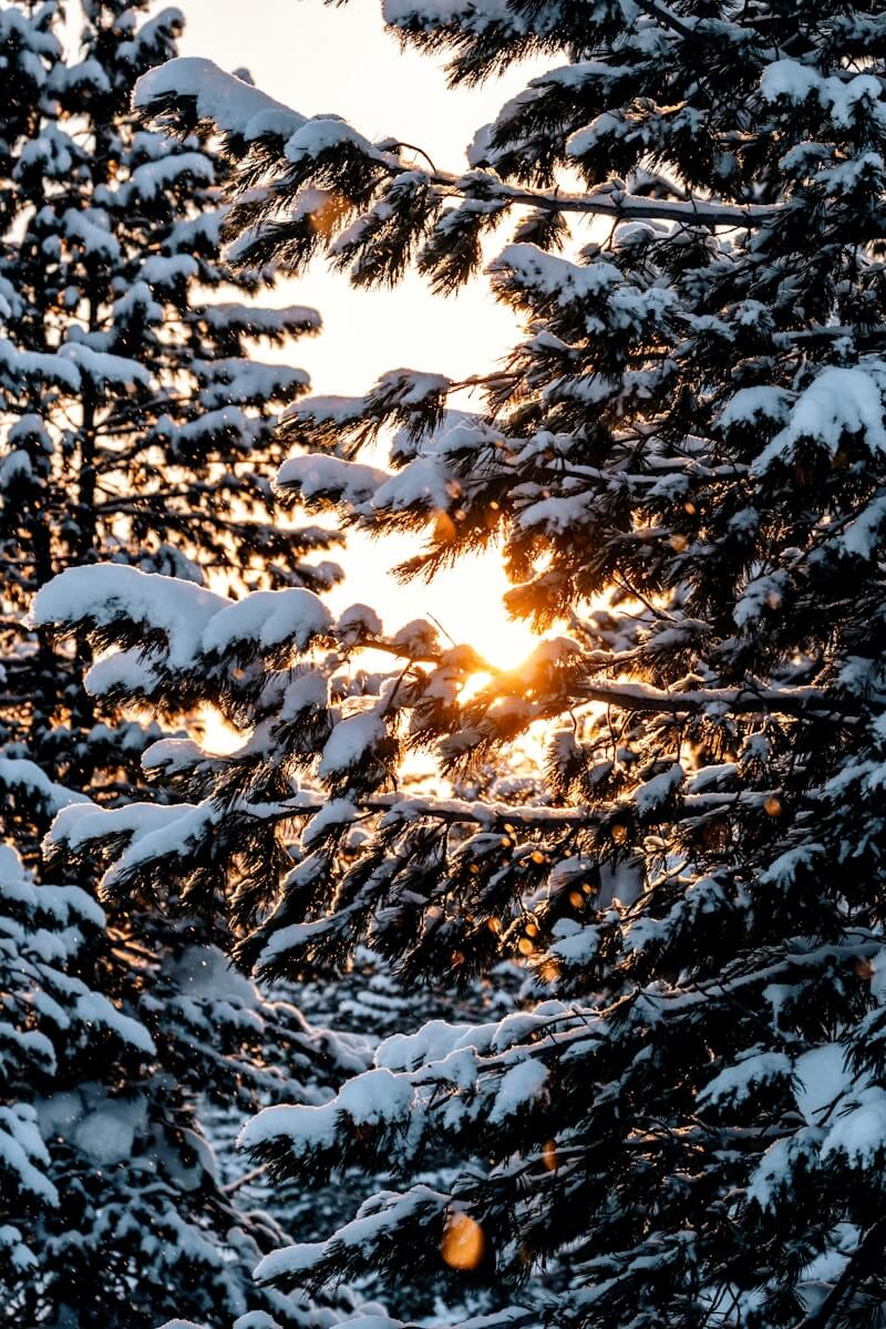 Braut und Bräutigam